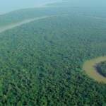 Интересные факты о реке Амазонке