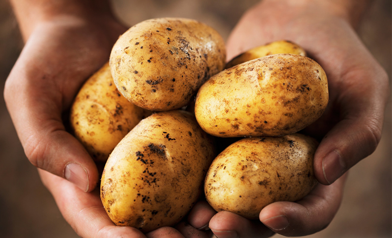 Интересные факты о картошке