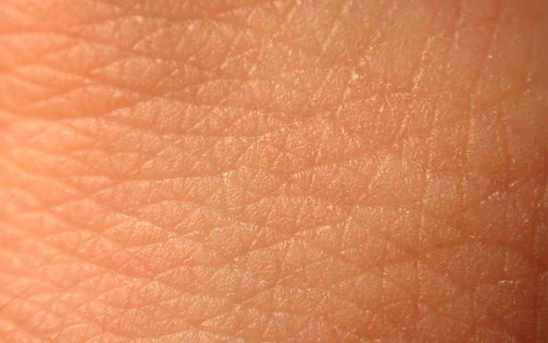 Человеческая кожа