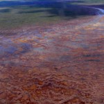 Васюганские болота: интересные сведения и факты