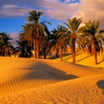 Интересные факты о пустыне Сахара