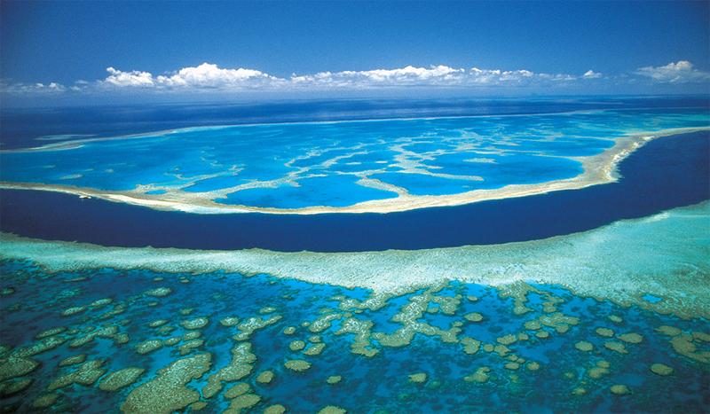 Большой Коралловый риф