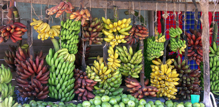 Много разных бананов
