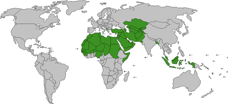 Мусульманские страны