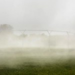 Интересные факты и данные о тумане