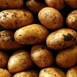 Самые интересные факты про картофель