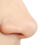 Интересные факты про человеческий нос