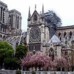 Интересные факты о Соборе Парижской Богоматери