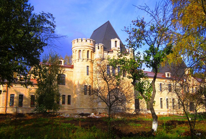 Борковский замок
