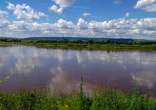 Вид на реку Амур